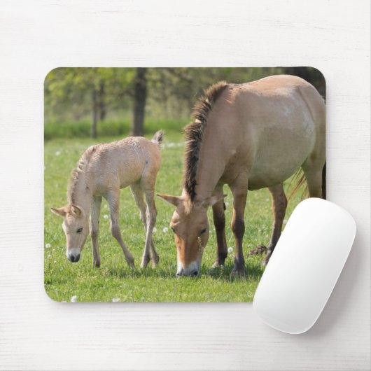 Przewalskis Weiden Mousepad (Mit Mouse)