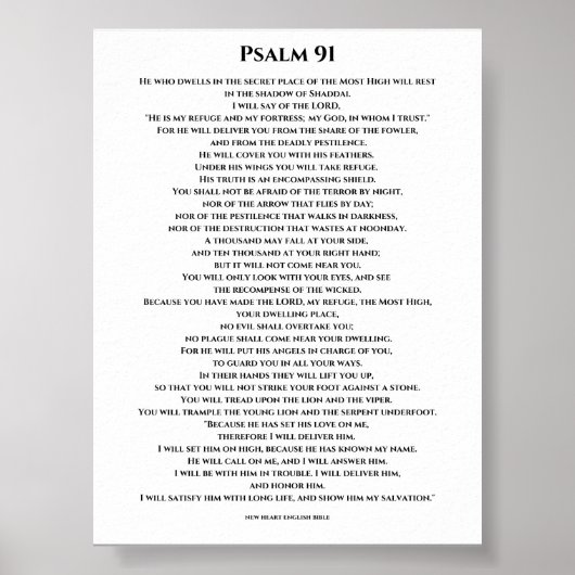 PSA;m 91 Poster (Vorne)