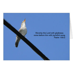 Psalm-100:2, Zaunkönig u. Drossel