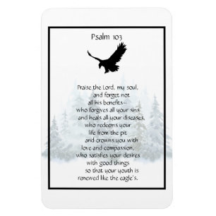 Psalm 103 Und heilt alle deine Krankheiten  Magnet