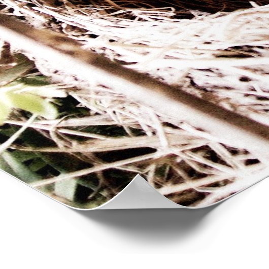 Psalm 104:24 poster (Ecke)