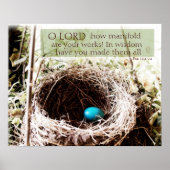 Psalm 104:24 poster (Vorne)