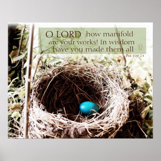 Psalm 104:24 poster (Vorne)