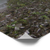 Psalm 107:35 Er verwandelt die Wildnis in.. Poster (Ecke)