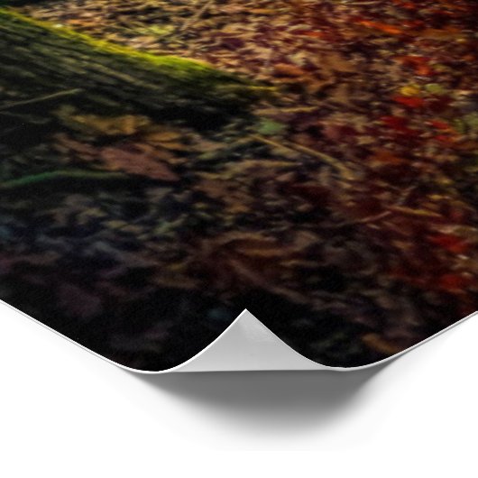 Psalm 119:105 Poster (Ecke)