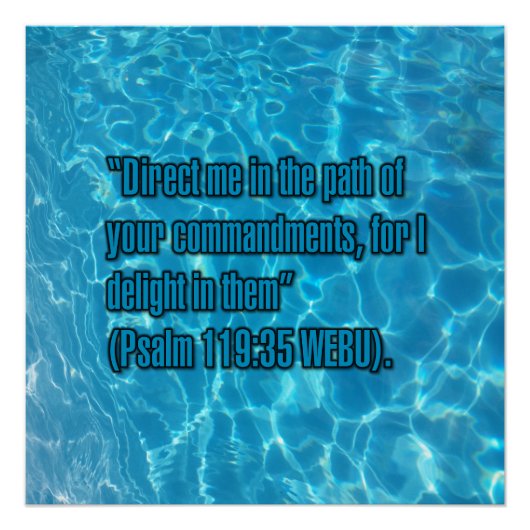 Psalm 119:35 WEBU Poster (Vorderseite)