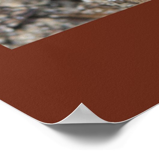 Psalm 128: 1, 2 Schriftsatz Poster (Ecke)