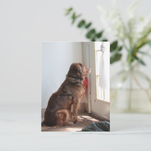 Psalm 130:5 Dog-Window Postkarte (Stehend Vorderseite)