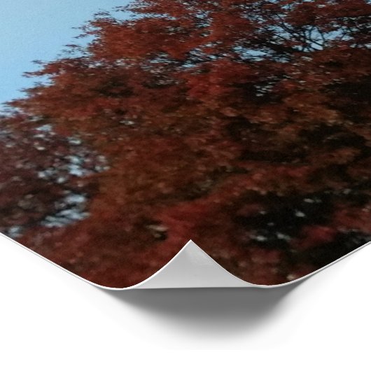 Psalm 133:1 Siehe, wie gut und wie angenehm Poster (Ecke)