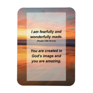 Psalm 139:14 I am fearfully and wonderfully made Magnet