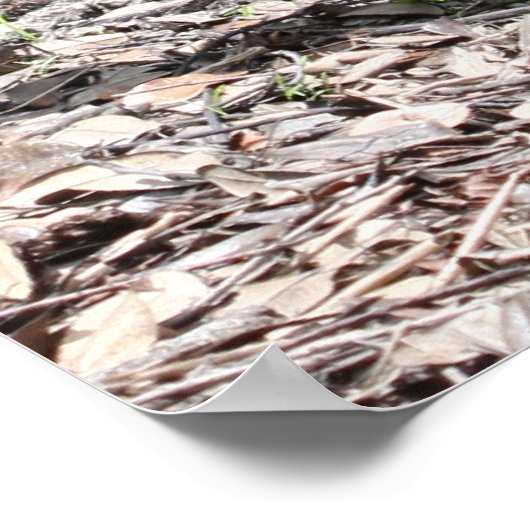 Psalm 141:3 Schrift-Poster Poster (Ecke)