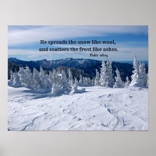 Psalm 147:16 Er verbreitet den Schnee... Poster (Vorne)