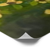 Psalm 148:3 poster (Ecke)