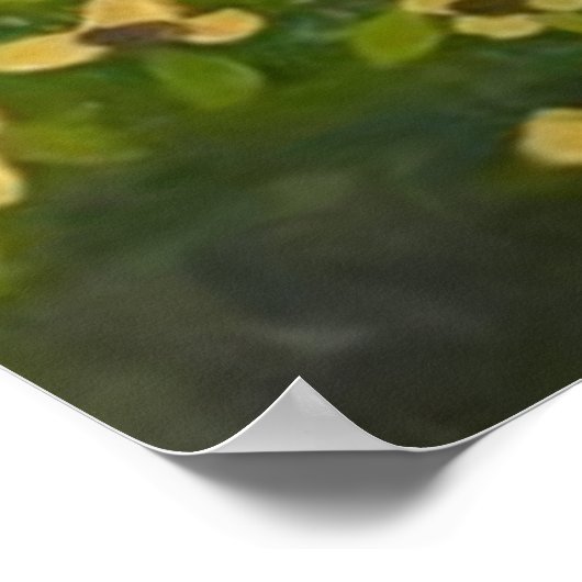 Psalm 148:3 poster (Ecke)