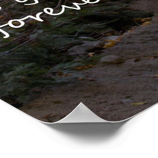 Psalm 16:11 Pfad Poster (Ecke)