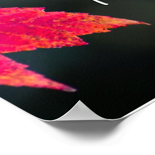 Psalm 16:8 auf Herbstlauben Poster (Ecke)