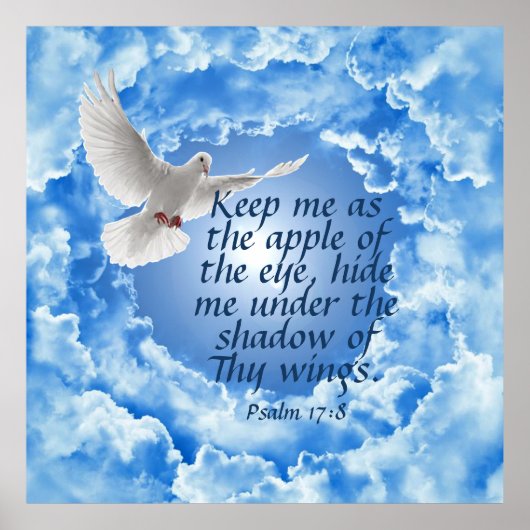 Psalm 17:8 poster (Vorne)