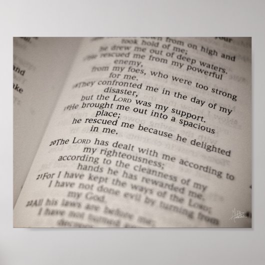 Psalm 18:19 [Drucken] Poster (Vorne)