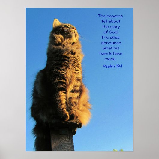 Psalm 19:1 Angel Cat Meme Poster (Vorne)