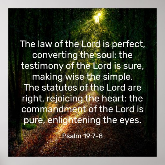 Psalm 19:7-8 poster (Vorne)