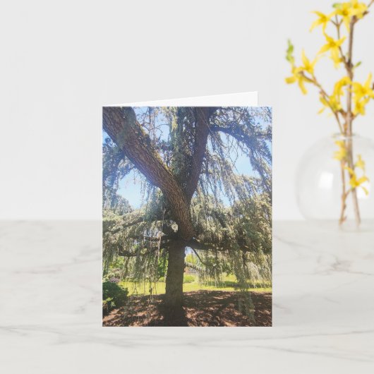 Psalm 1:1-3 Blank Card Karte (Gelbe Blume)