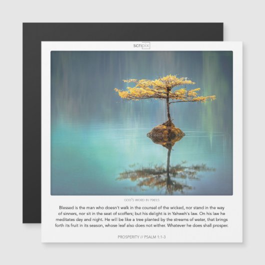 Psalm 1:1-3 PROSPERITY SCRIPIX Magnetkarte Magneteinladung (Vorne/Hinten)