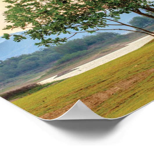 Psalm 1: 3 Bibelgeschenke mit Versschrift Poster (Ecke)