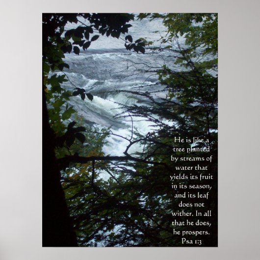 Psalm 1:3 poster (Vorne)