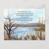 Psalm 1 Bibel Verse Wüste Wüste Massiv Postkarte (Vorderseite)