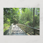 Psalm 23:3 Er restauriert mein Soul, Er führt mich Postkarte (Vorderseite)