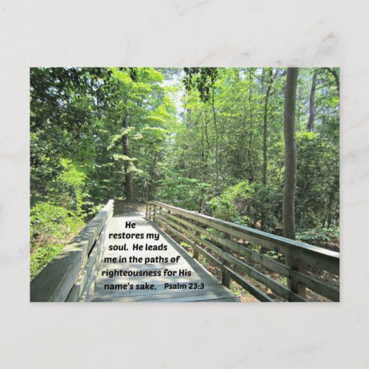 Psalm 23:3 Er restauriert mein Soul, Er führt mich Postkarte (Vorderseite)