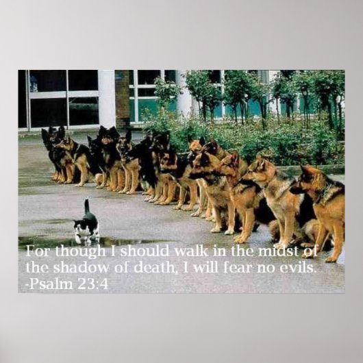 Psalm 23:4 poster (Vorne)