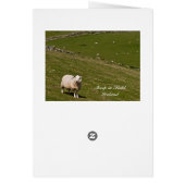 Psalm 23 Bibelverse, Irish Sheep Field Card (Hinten)