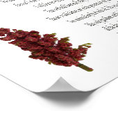 Psalm 23, Blumenplakat der Grünen Pflanze (Matte) Poster (Ecke)