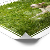 Psalm 23 Der Herr ist mein Schäferhund-Foto Poster (Ecke)