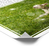 Psalm 23 Der Herr ist mein Schäferhund-Foto Poster (Ecke)