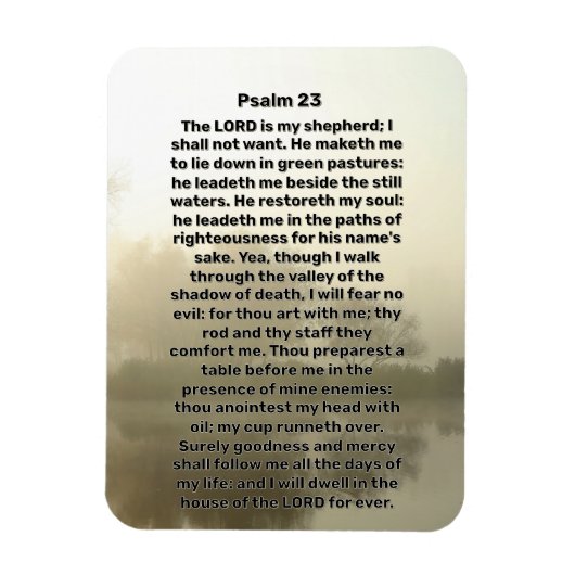 Psalm 23 Lake Reflections Christlich Magnet (Vertikal)
