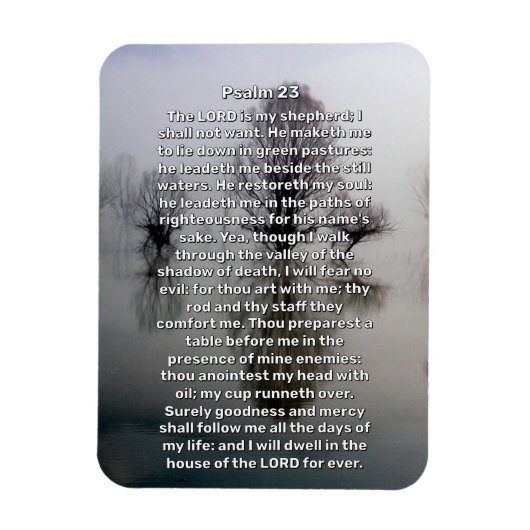 Psalm 23 Leuchtender See Religious Magnet (Vertikal)