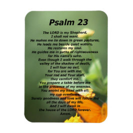 Psalm 23 magnet