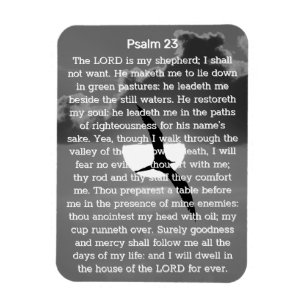 Psalm 23 Monochromer Sonnenuntergang Möwe Magnet