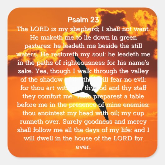 Psalm 23 Orange Sunset Seagull Quadratischer Aufkleber (Vorderseite)