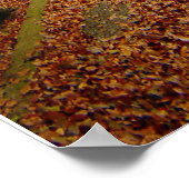 Psalm 27:1 Poster (Ecke)