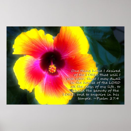 Psalm 27:4 auf dem Dreamy-Hibiskus Poster (Vorne)