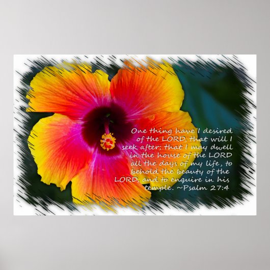 Psalm 27:4 Hibiskus auf Weiß Poster (Vorne)