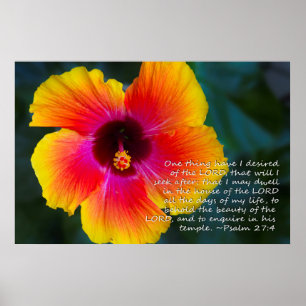 Psalm 27:4 Hibiskus Poster