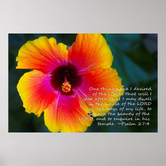 Psalm 27:4 Hibiskus Poster (Vorne)