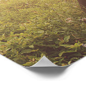 Psalm 27:4 One Thing I Desired of the Lord Bible Poster (Ecke)