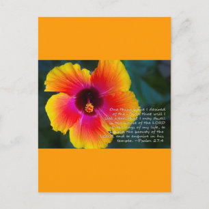 Psalm 27:4 postkarte