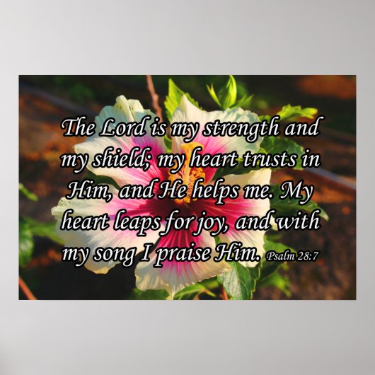Psalm 28:7, Hibiskus Poster (Vorne)