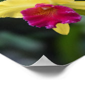 Psalm 29:11 Christliche Bibelverse-Schrift Poster (Ecke)